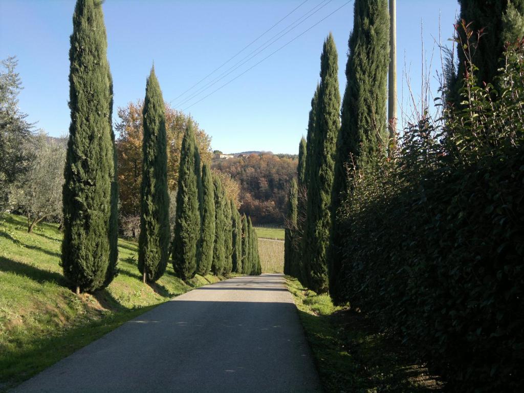 Отель Il Casolare Di Leonardo Винчи Экстерьер фото